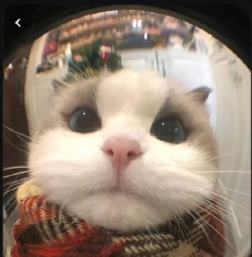 海外怎麼用QQ音樂聽歌?留學生親測有效的解決方案