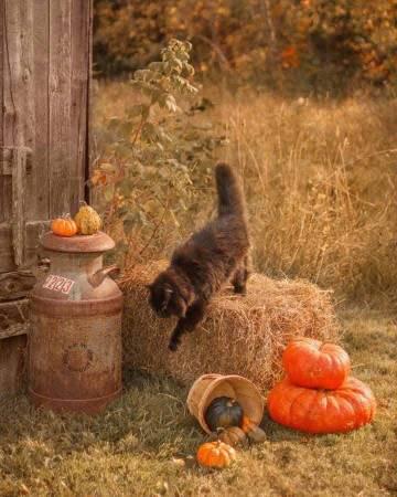 海外華人必看!QQ音樂地區限制全攻略,告別卡頓灰歌單困擾